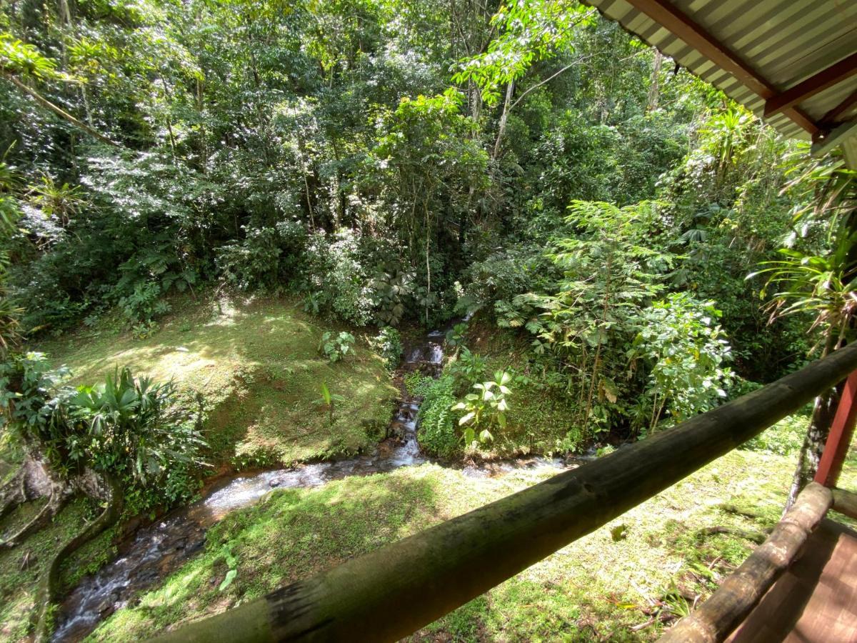 Esquipulas Rainforest Quepos Exterior foto